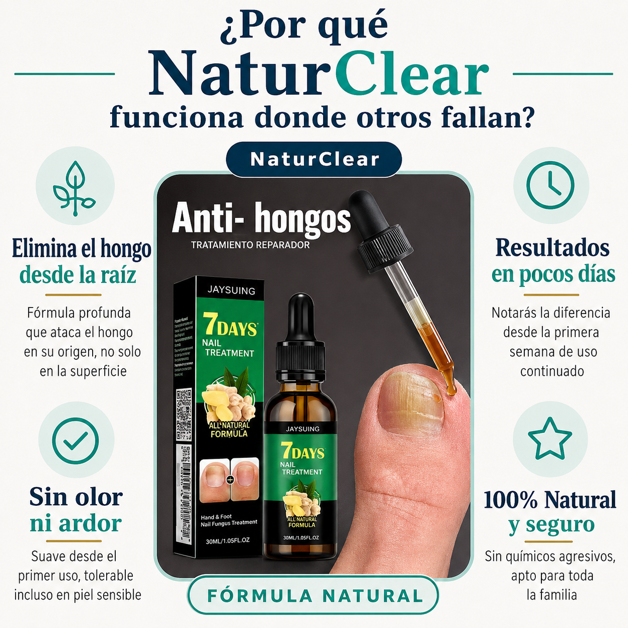 hongos